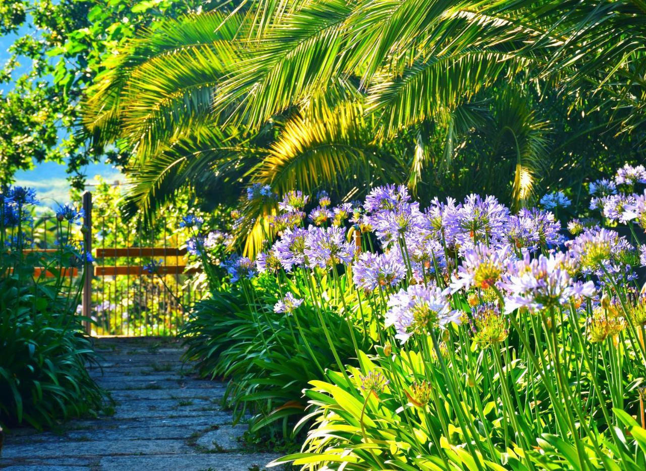Hotel Quinta De San Amaro Rias Baixas Meaño Exteriér fotografie